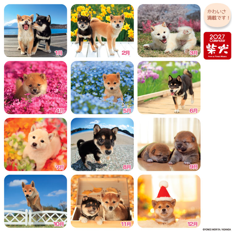 森田米雄 2027 Calendar 卓上カレ...の詳細画像4
