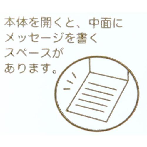 のし袋 入学祝い 祝儀袋 詰襟 アクティブコーポレーション｜cinemacollection｜05