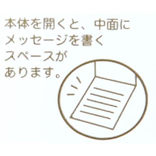 のし袋 入園祝い 祝儀袋 男の子 アクティブコーポレーション