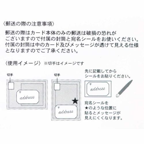 POSTCARD シアーポストカード 雪解け水が映し出す世界 Shota APJ 封筒付き おしゃれ