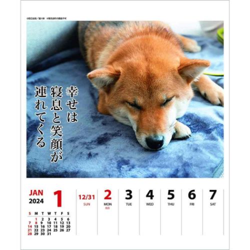 壁掛け＆卓上カレンダー2024年 2024Calendar スケジュール 犬川柳 週めくり 柴犬 APJ 動物写真 書き込み インテリア