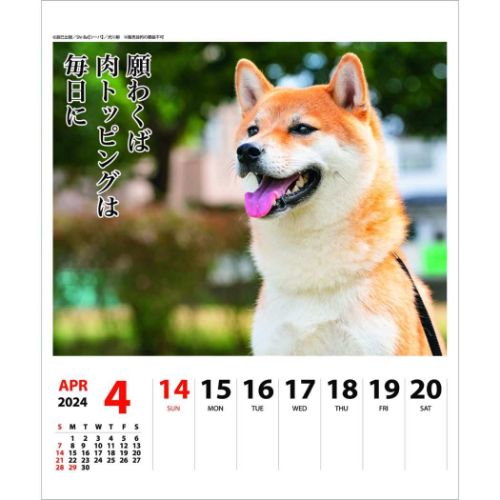 2024Calendar 犬川柳 週めくり 壁掛け＆卓上カレンダー2024年 柴犬 スケジュール 動物写真 書き込み