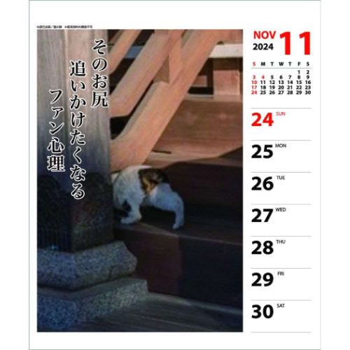 2024Calendar 猫川柳 週めくり 壁掛け＆卓上カレンダー2024年 スケジュール ねこ APJ