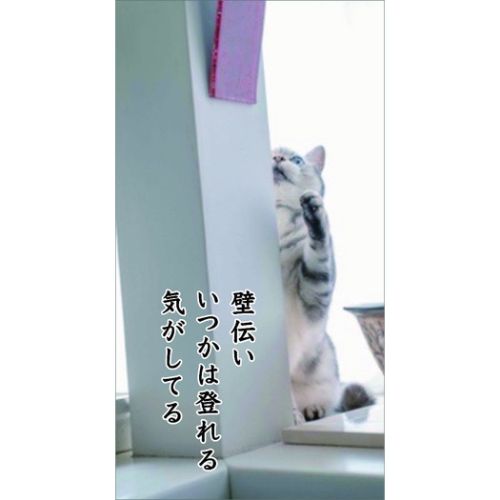 卓上カレンダー2024年 猫川柳 卓上 2024Calendar ねこ APJ