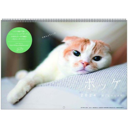 壁掛けカレンダー2024年 ポッケ 2024Calendar ねこ APJ スケジュール