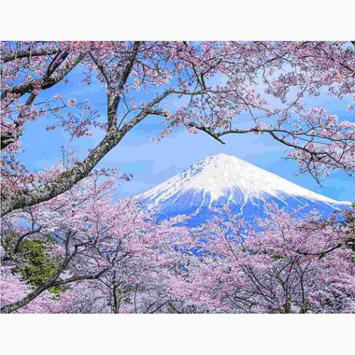 2024Calendar 富士山の四季 壁掛けカレンダー2024年 スケジュール｜cinemacollection｜04