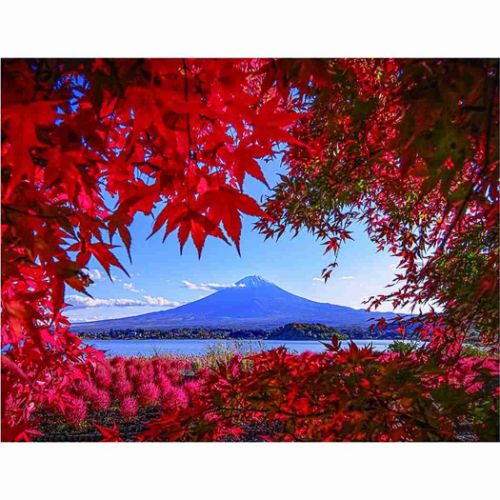 2024Calendar 富士山の四季 壁掛けカレンダー2024年 スケジュール｜cinemacollection｜07
