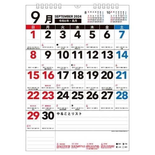 2025Calendar 壁掛けカレンダー2025年 Basic Plus ボールド A3 エコタイプ スケジュール APJ 書き込み 実用