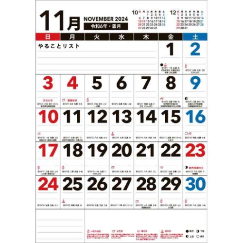 2025Calendar 壁掛けカレンダー2025年 Basic Plus ボールド A3 エコタイプ スケジュール APJ 書き込み 実用