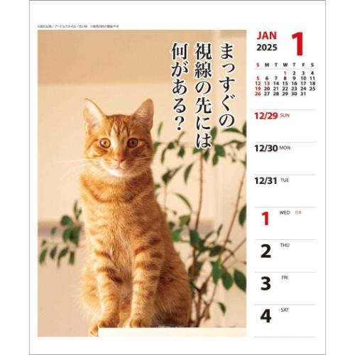 壁掛け＆卓上カレンダー2025年 2025Calendar ねこ 猫川柳 週めくり スケジュール APJ 動物写真 書き込み