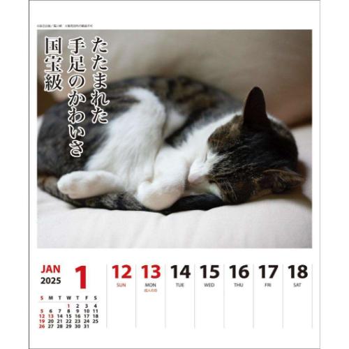 壁掛け＆卓上カレンダー2025年 2025Calendar ねこ 猫川柳 週めくり スケジュール APJ 動物写真 書き込み