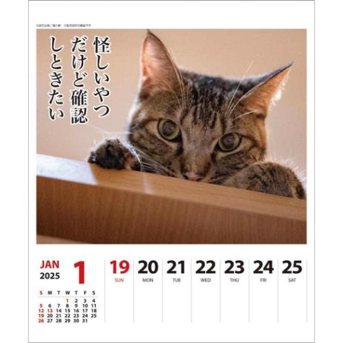 壁掛け＆卓上カレンダー2025年 2025Calendar ねこ 猫川柳 週めくり スケジュール APJ 動物写真 書き込み