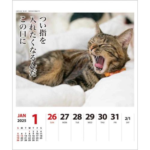 壁掛け＆卓上カレンダー2025年 2025Calendar ねこ 猫川柳 週めくり スケジュール APJ 動物写真 書き込み