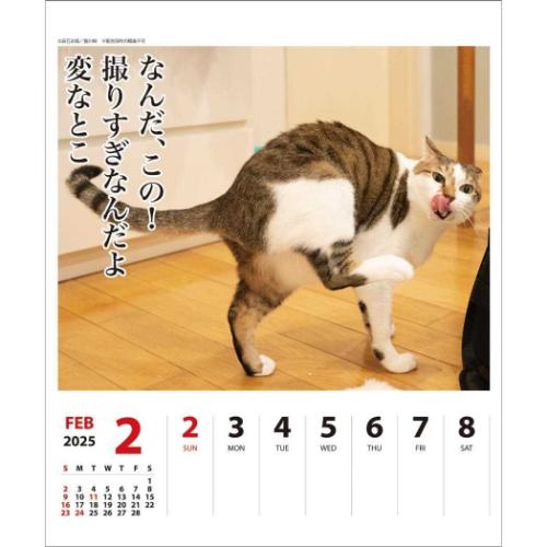 壁掛け＆卓上カレンダー2025年 2025Calendar ねこ 猫川柳 週めくり スケジュール APJ 動物写真 書き込み