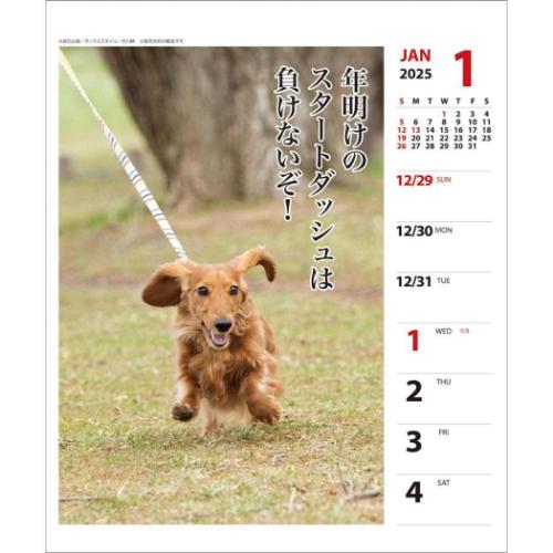 壁掛け＆卓上カレンダー2025年 2025Calendar ダックス川柳 週めくり いぬ スケジュール APJ