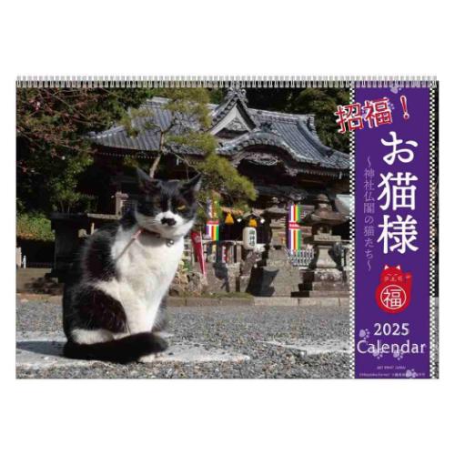 2025Calendar 壁掛けカレンダー2025年 ねこ 招福！お猫様カレンダー APJ 動物写真 書き込み