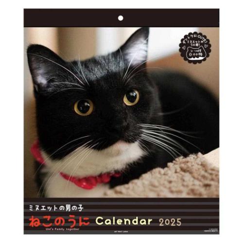 壁掛けカレンダー2025年 2025Calendar ねこ ミヌエットのうに君 30角 スケジュール APJ 動物写真 書き込み インテリア