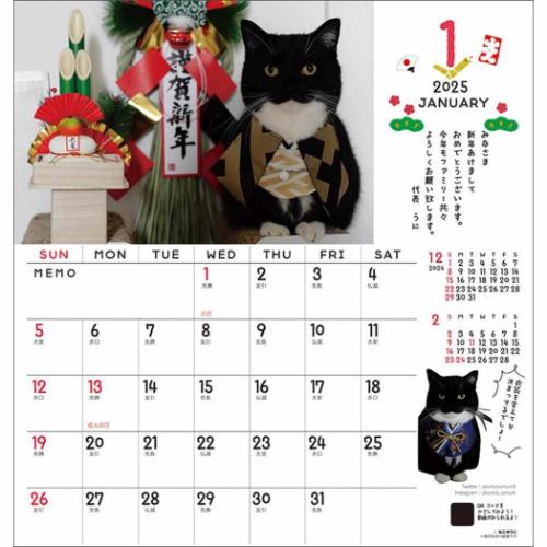 壁掛けカレンダー2025年 2025Calendar ねこ ミヌエットのうに君 30角 スケジュール APJ 動物写真 書き込み インテリア