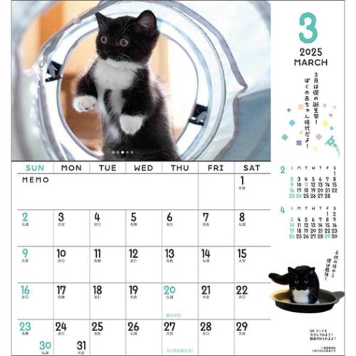 壁掛けカレンダー2025年 2025Calendar ねこ ミヌエットのうに君 30角 スケジュール APJ 動物写真 書き込み インテリア