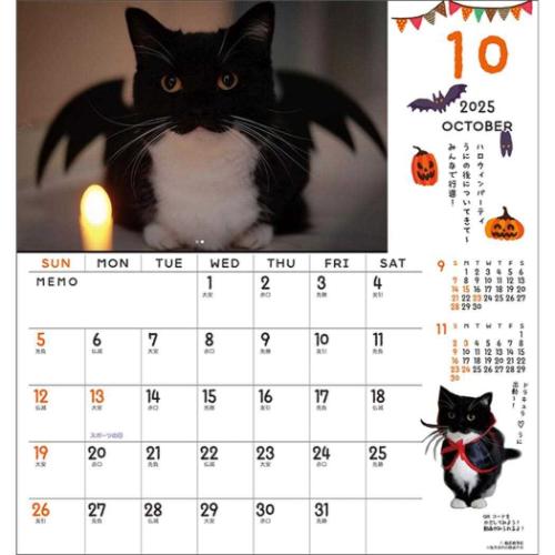 壁掛けカレンダー2025年 2025Calendar ねこ ミヌエットのうに君 30角 スケジュール APJ 動物写真 書き込み インテリア