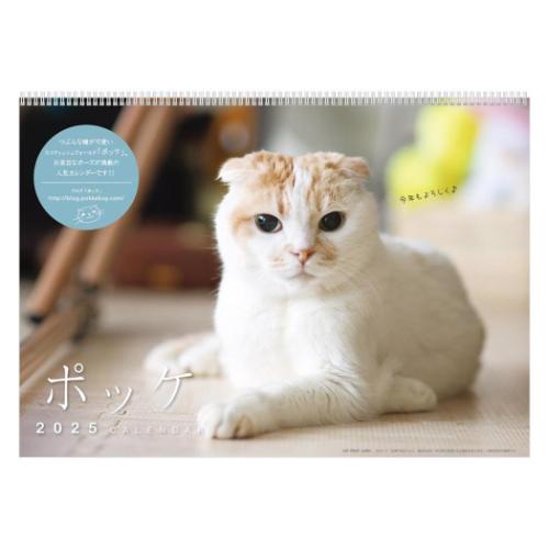 壁掛けカレンダー2025年 2025Calendar ポッケ ねこ スケジュール APJ 動物写真 書き込み インテリア