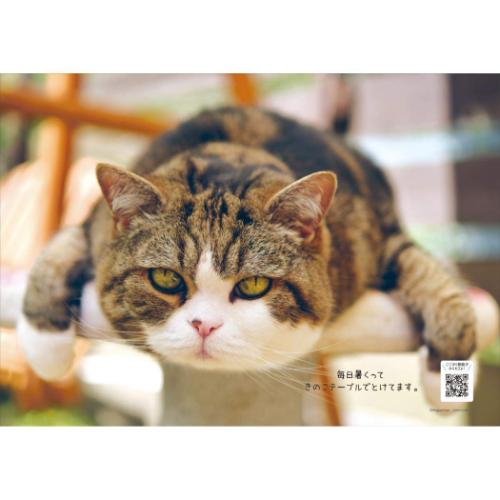 2025Calendar 壁掛けカレンダー2025年 まるちゃん スケジュール ねこ APJ 動物写真 書き込み