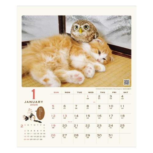 2025Calendar 壁掛けカレンダー2025年 HUKULOU COFFEE フクロウコーヒー フク社長とマリモちゃん APJ ねこ 動物写真 書き込み