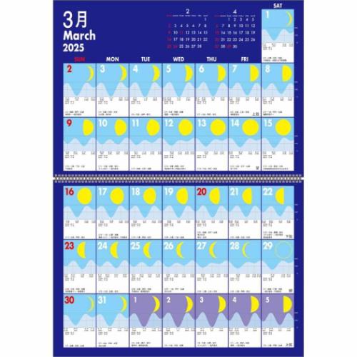 2025Calendar 壁掛けカレンダー2025年 月と波のカレンダー APJ 教養 実用