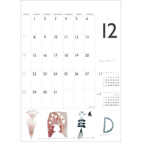 ❤️シボヘール 120粒 4袋 2025年カレンダー付き❤️ Amazon | ハーブ健康本舗 シボヘール 120粒入り [機能性表示食品