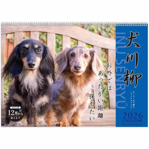 壁掛けカレンダー2026年 ダックス川柳 2026Calendar いぬ APJ