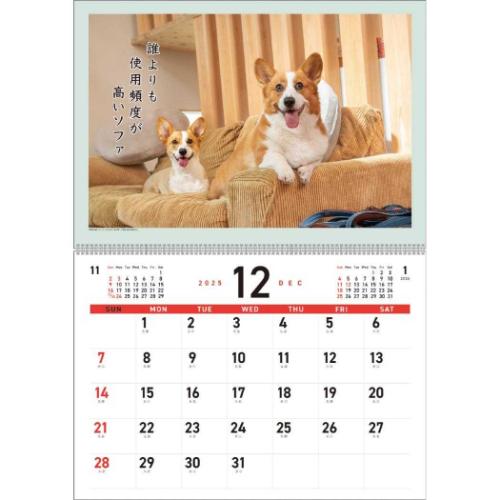2026Calendar 壁掛けカレンダー2026年 コーギー川柳 スケジュール APJ
