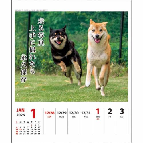 壁掛け＆卓上カレンダー2026年 2026Calendar 犬川柳 週めくり