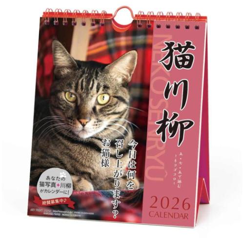 2026Calendar 猫川柳 壁掛け＆卓上カレンダー2026年 週めくり スケジュール ねこ APJ
