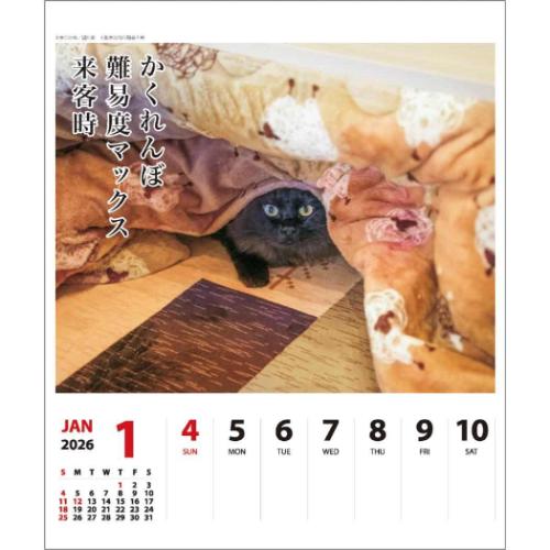 2026Calendar 猫川柳 壁掛け＆卓上カレンダー2026年 週めくり スケジュール ねこ APJ