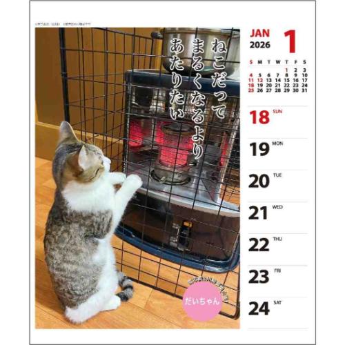 2026Calendar 猫川柳 壁掛け＆卓上カレンダー2026年 週めくり スケジュール ねこ APJ