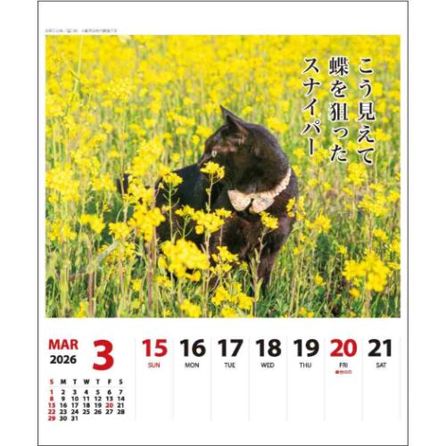 2026Calendar 猫川柳 壁掛け＆卓上カレンダー2026年 週めくり スケジュール ねこ APJ