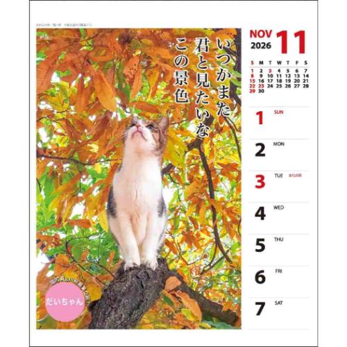 2026Calendar 猫川柳 壁掛け＆卓上カレンダー2026年 週めくり スケジュール ねこ APJ