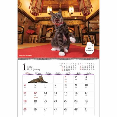2026Calendar 招福!お猫様カレンダー 壁掛けカレンダー2026年 スケジュール ねこ APJ 動物写真 書き込み