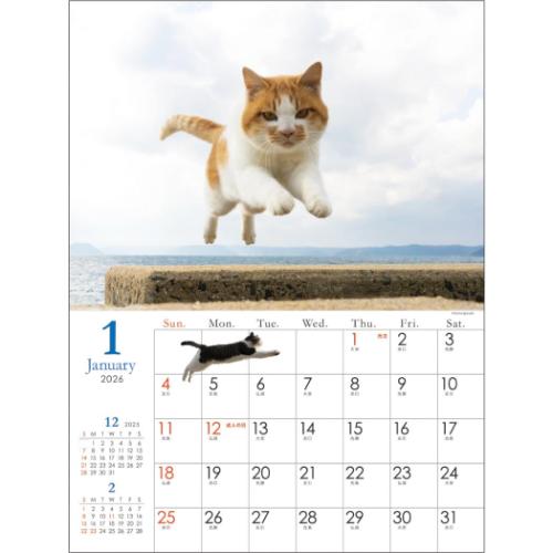 2026Calendar 飛び猫 五十嵐健太 壁掛けカレンダー2026年 ねこ