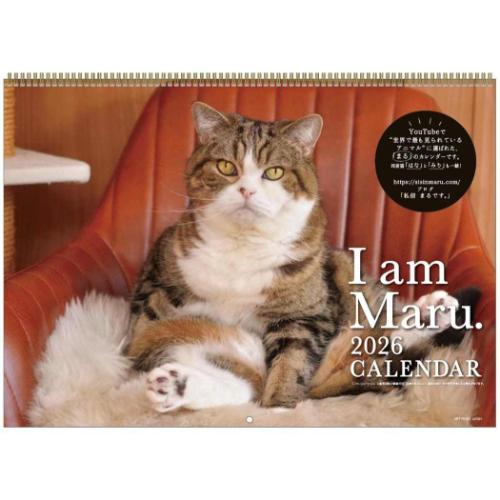 2026Calendar まるちゃん 壁掛けカレンダー2026年 ねこ スケジュール