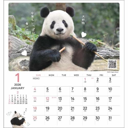 2026年 パンダ壁掛けカレンダー 2026Calendar 壁掛けカレンダー2026年 パンダ シャンシャン パンダ川柳