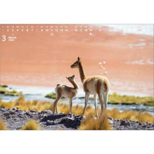 2026Calendar PRECIOUS MOMENTS 高砂淳二 壁掛けカレンダー2026年 この