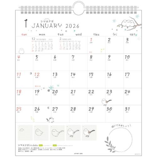 壁掛けカレンダー2026年 かわいいとりの描き方 BIRDSTORY 2026Calendar APJ 30角 スケジュール 令和8年暦