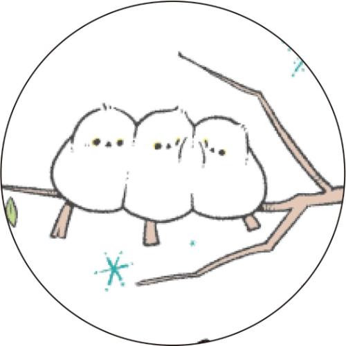壁掛けカレンダー2026年 かわいいとりの描き方 BIRDSTORY 2026Calendar APJ 30角 スケジュール 令和8年暦