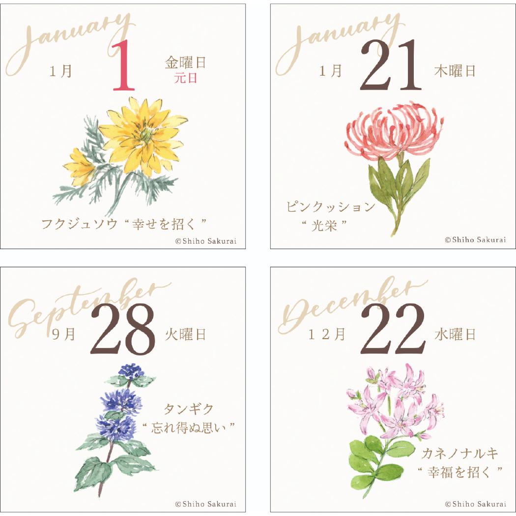 2027Calendar ミニチュア日めくり ...の詳細画像2