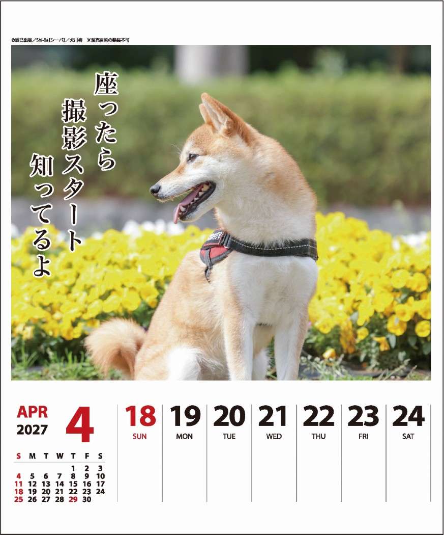 2027Calendar 卓上カレンダー202...の詳細画像3