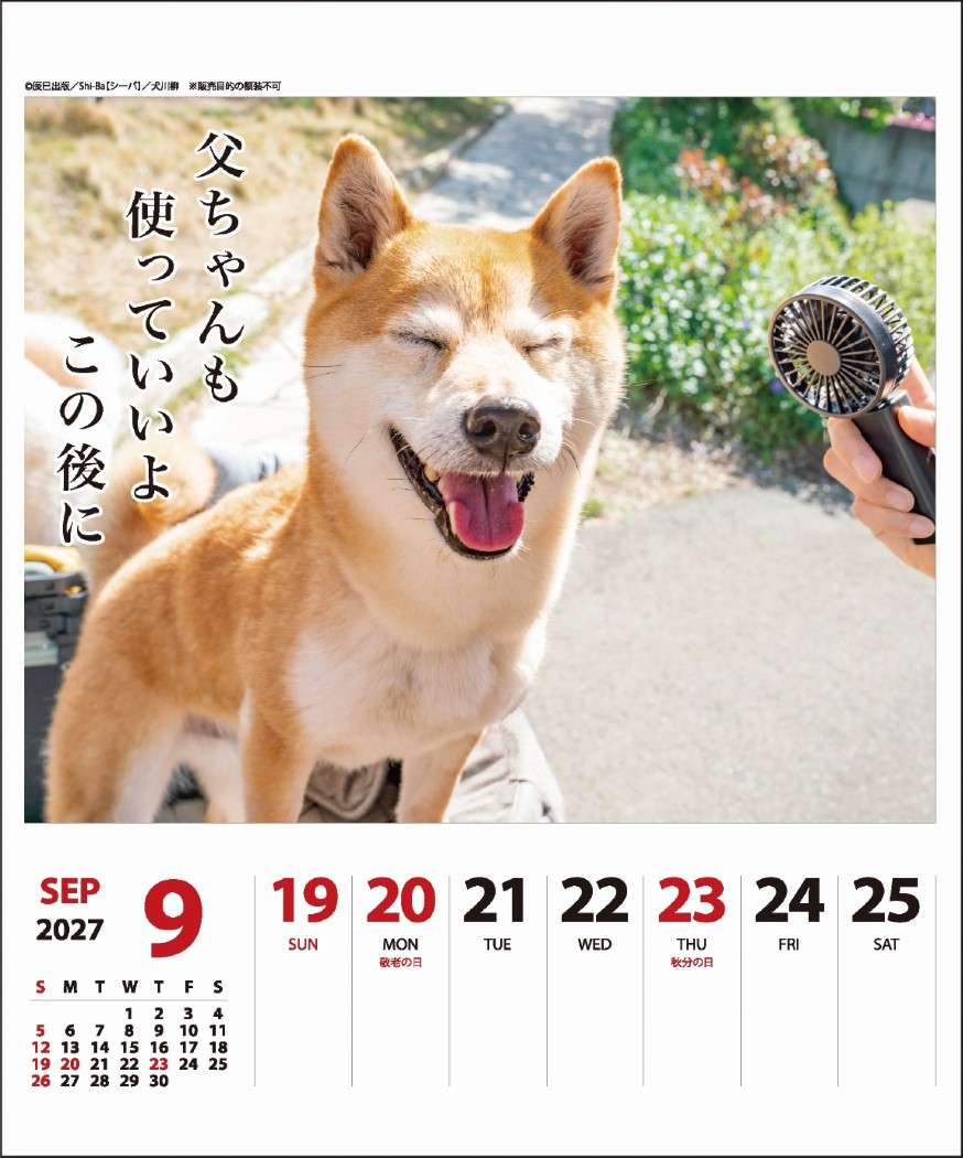 2027Calendar 卓上カレンダー202...の詳細画像4