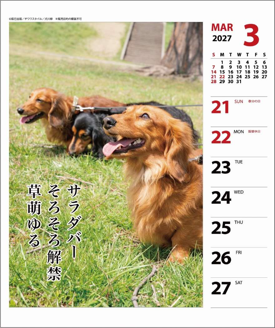 2027Calendar 卓上カレンダー202...の詳細画像1