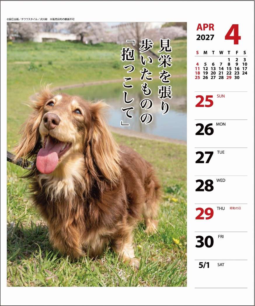2027Calendar 卓上カレンダー202...の詳細画像2