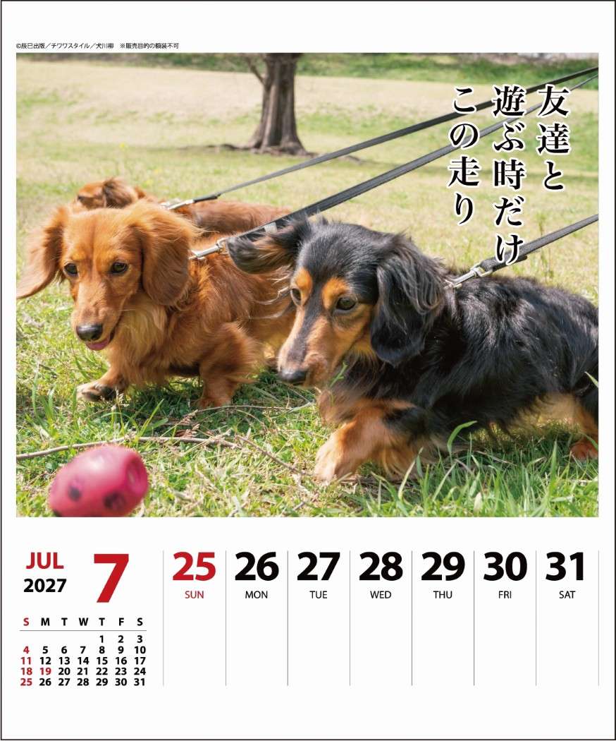 2027Calendar 卓上カレンダー202...の詳細画像3